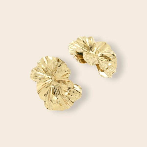 Boucles MARIE