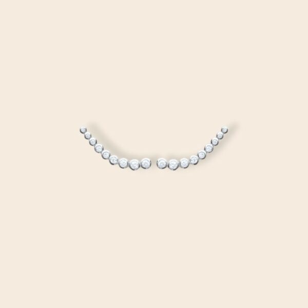 Boucles de lobe FLO  - Argent