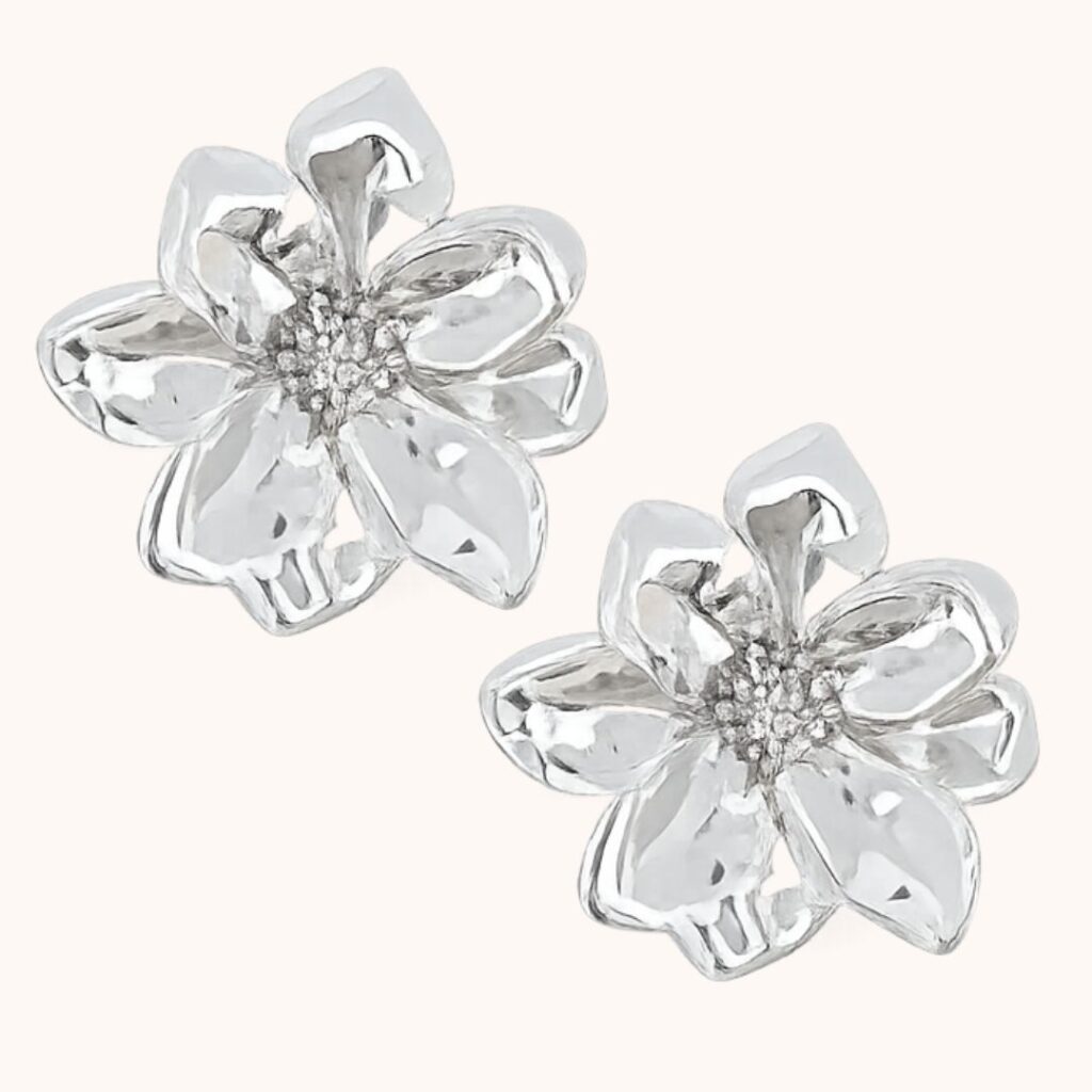 Boucles Lysiane – Acier Argenté