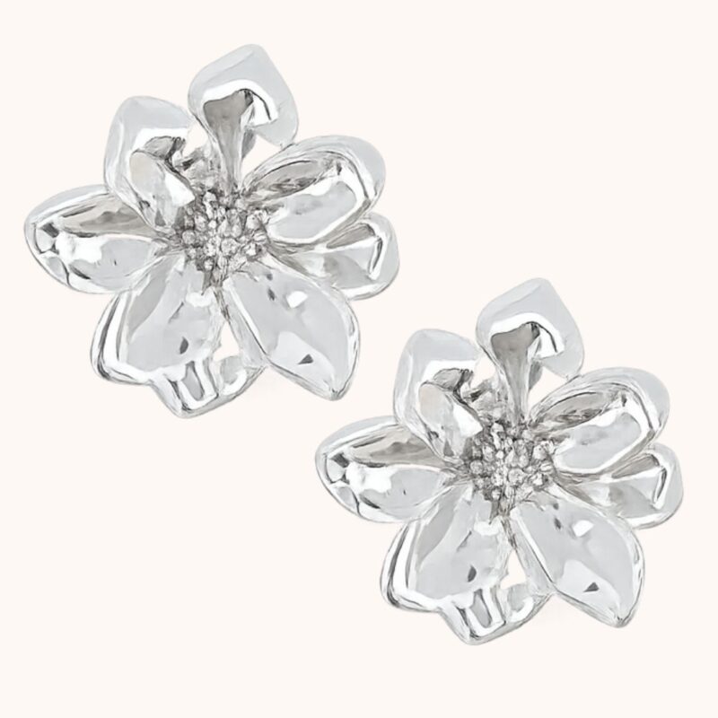 Boucles Lysiane - Acier Argenté