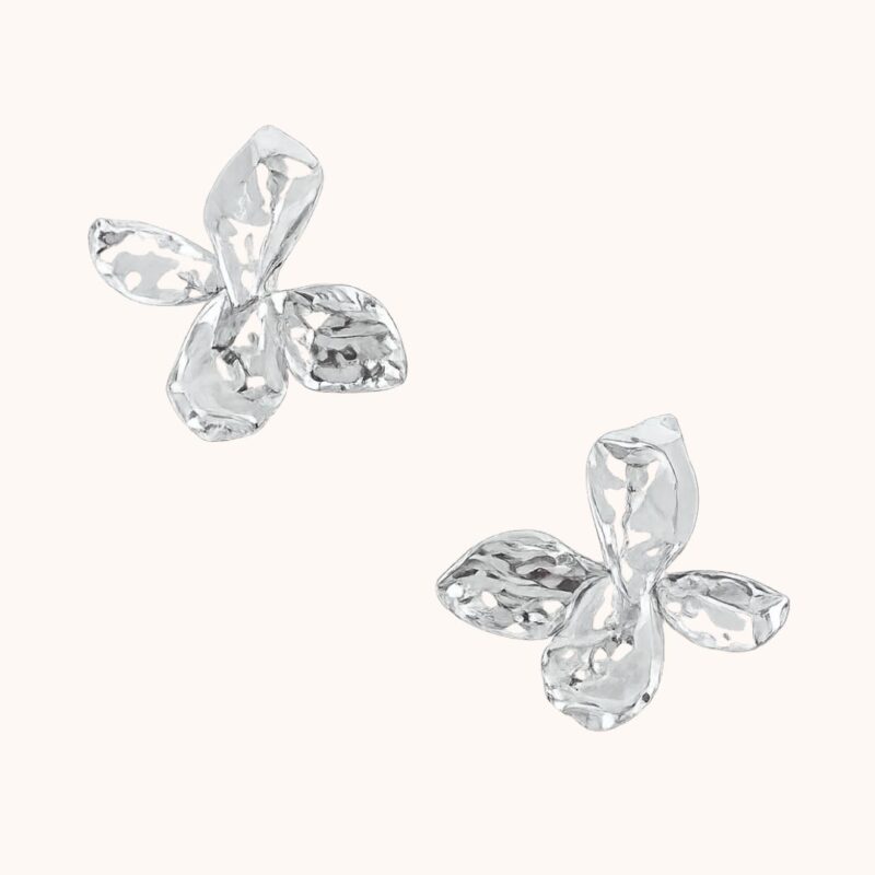 Boucles Amandine - Acier Argenté